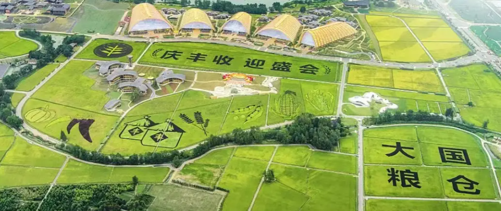 第五个中国农民丰收节|AK手机网页版登录入口携农产品品质成分低场核磁快速分析仪 亮相天府农博园